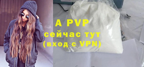ешки Белокуриха