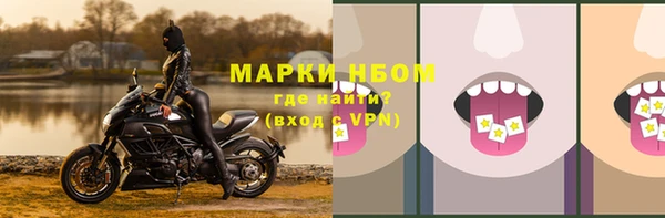 ешки Белокуриха