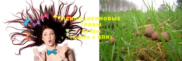 МДМА Богданович