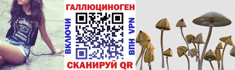 Псилоцибиновые грибы ЛСД  купить наркоту  Будённовск 