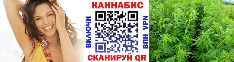 МАРИХУАНА семена  Будённовск 